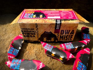 Krówki Piwne Ursa Dwa Misie Klasycznie Słodkie