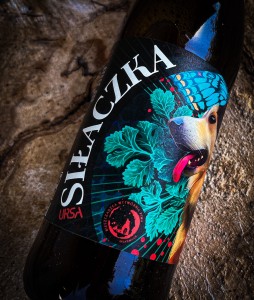 Piwo Ursa Siłaczka. Bo czasem trzeba być miętkim a czasem twardym.