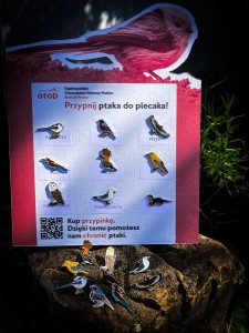 Przypinka Pin OTOPtak 