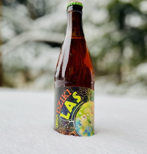 Piwo kraftowe Ursa Dziki Las, butelka 500 ml