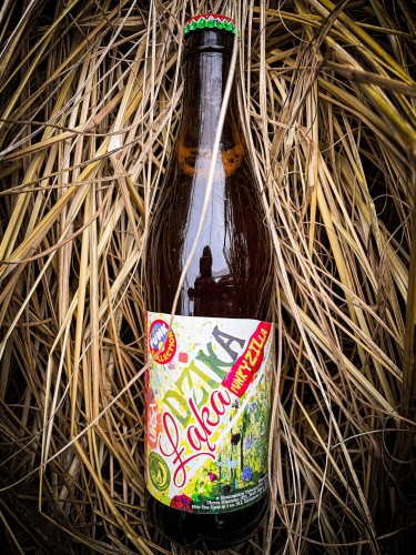 Dobre piwo niepasteryzowane Ursa Dzika Łąka, produkt lokalny prosto od producenta z Bieszczad