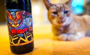 Piwo Ursa Renegat. Paint it, Black. Czyli genialna czarna IPA.