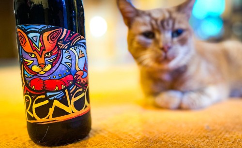 Butelka piwa Ursa Renegat z kotem Duńczykiem :-)