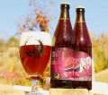 Dobre piwo niepasteryzowane Ursa Purpurat z Bieszczad, craft beer