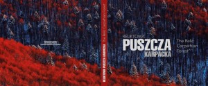 Reliktowa puszcza karpacka. The Relic Carpathian Forest