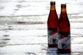Dobre piwo niepasteryzowane Ursa Przemytnik, craft beer
